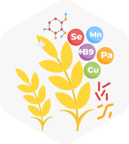 Metabiome nutritional components